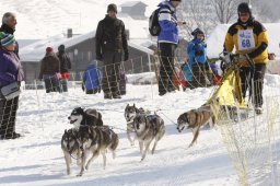 Lenk 2012 SM
